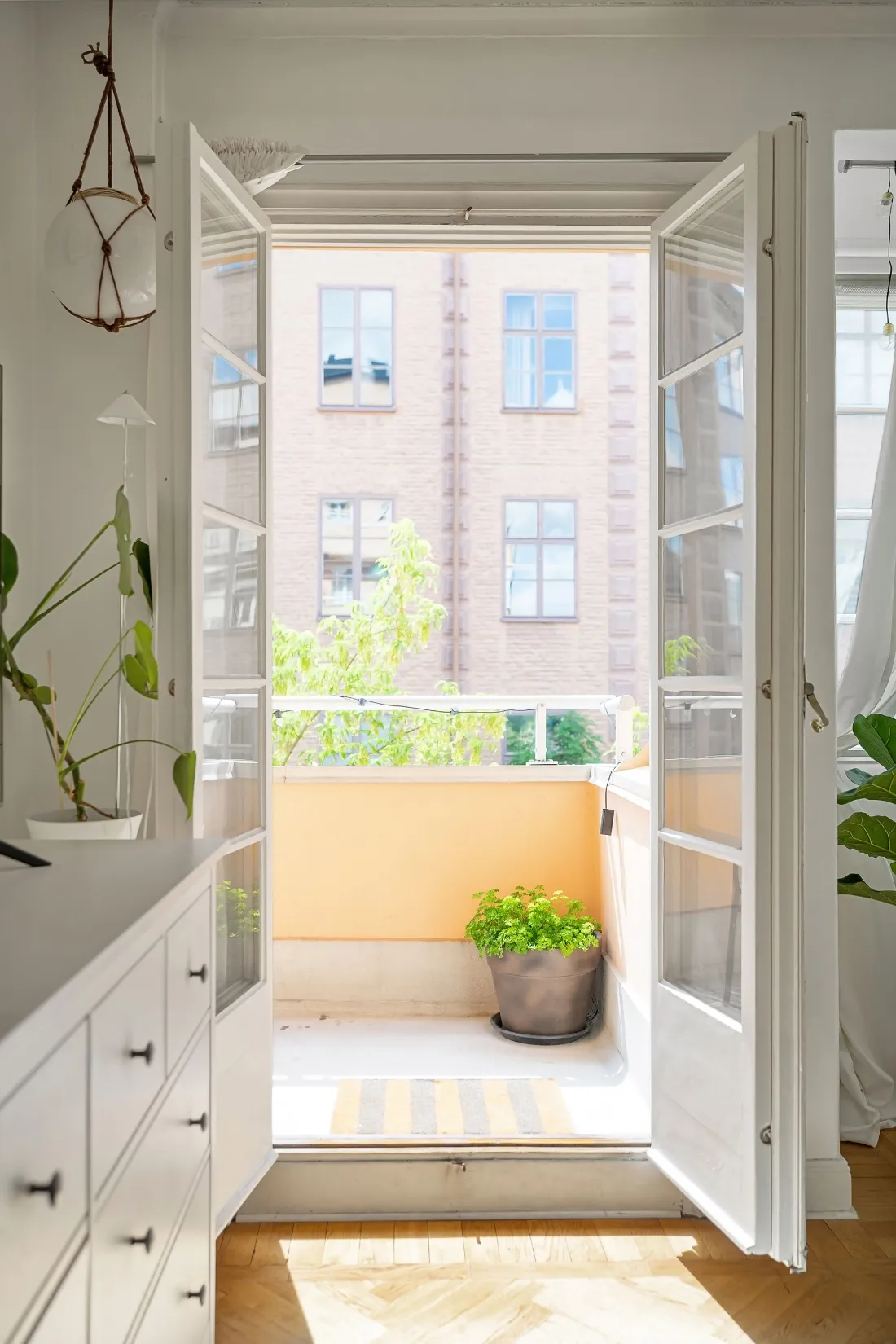 Balcón con plantas y paredes anaranjadas, visto desde la puerta