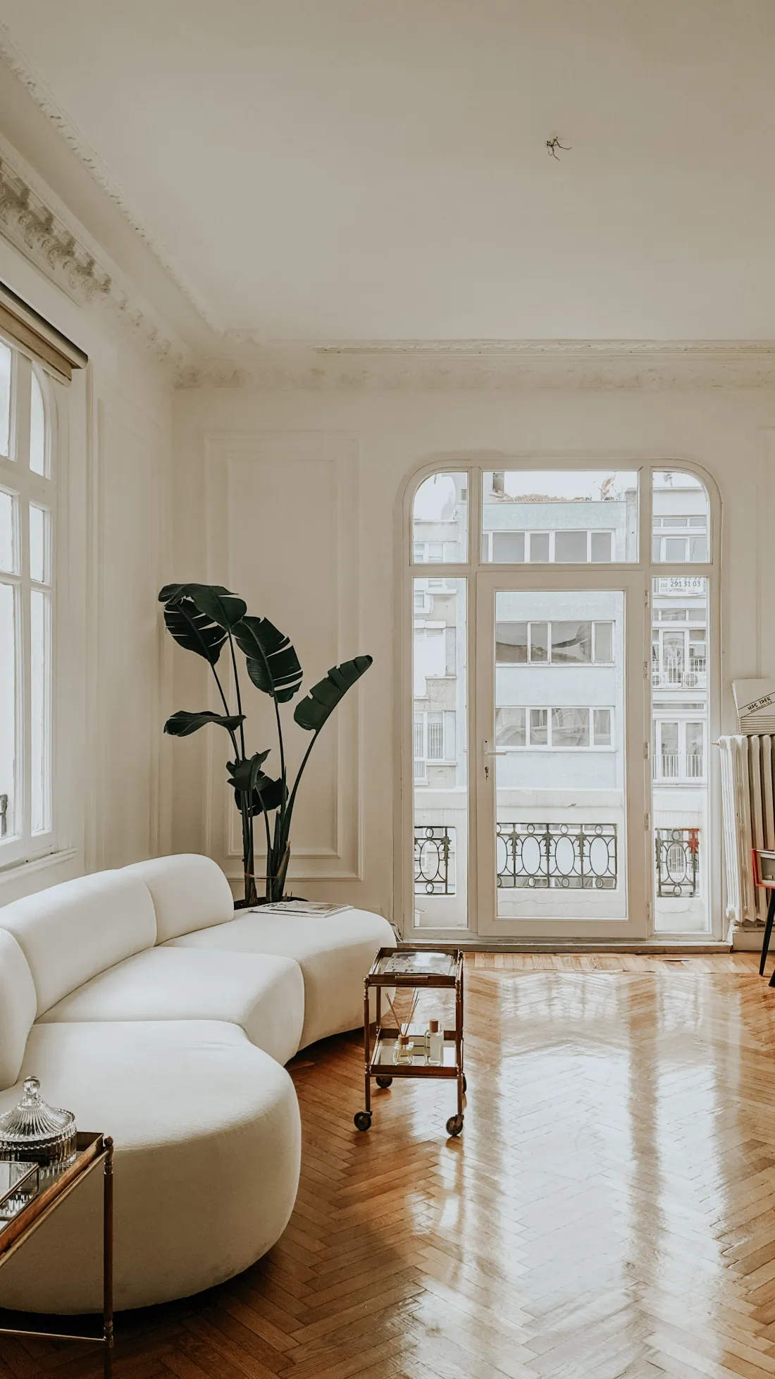 Balconera alta con barandilla de forja y una planta grande delante